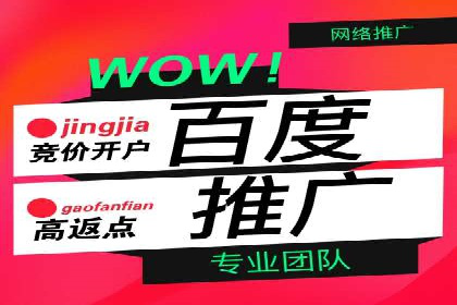 SEM服务公司助力企业国际化案例